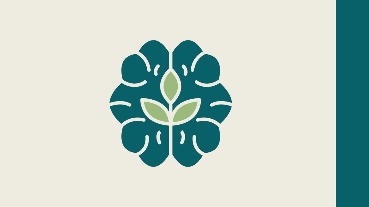 Endocannabinoid system Leanna Organics