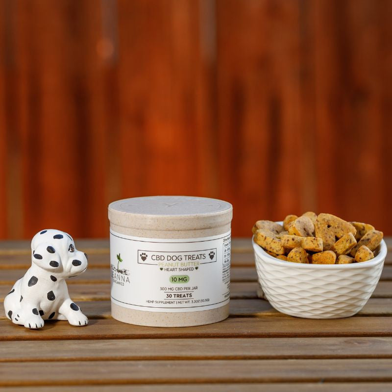 CBD Dog Treats lifestyle 2