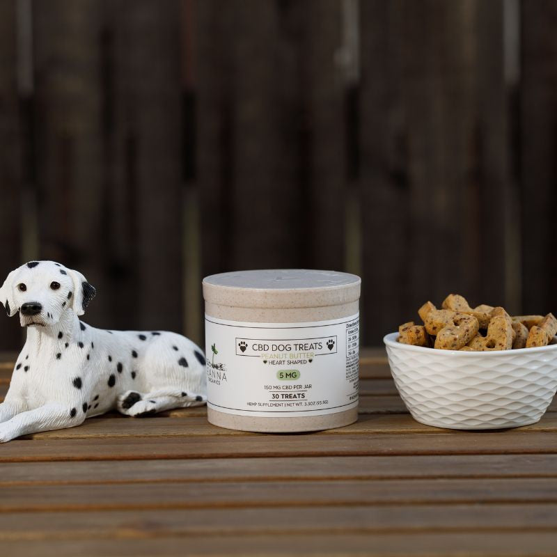 CBD Dog Treats lifestyle