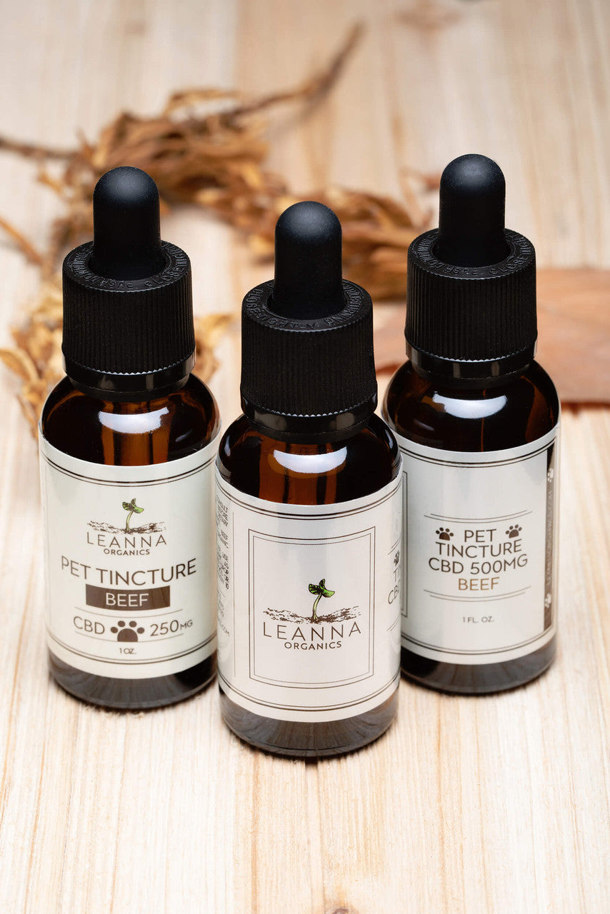 Leanna Organics CBD oil for pets lifestyle 1